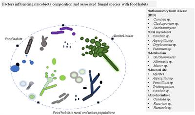 Food Habit Associated Mycobiota Composition and Their Impact on Human Health